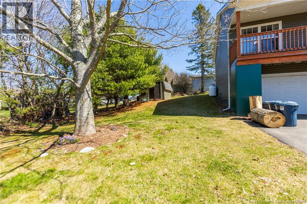 6 Birch Street, Sackville, New Brunswick  E4L 3H8 - Photo 32 - NB138155