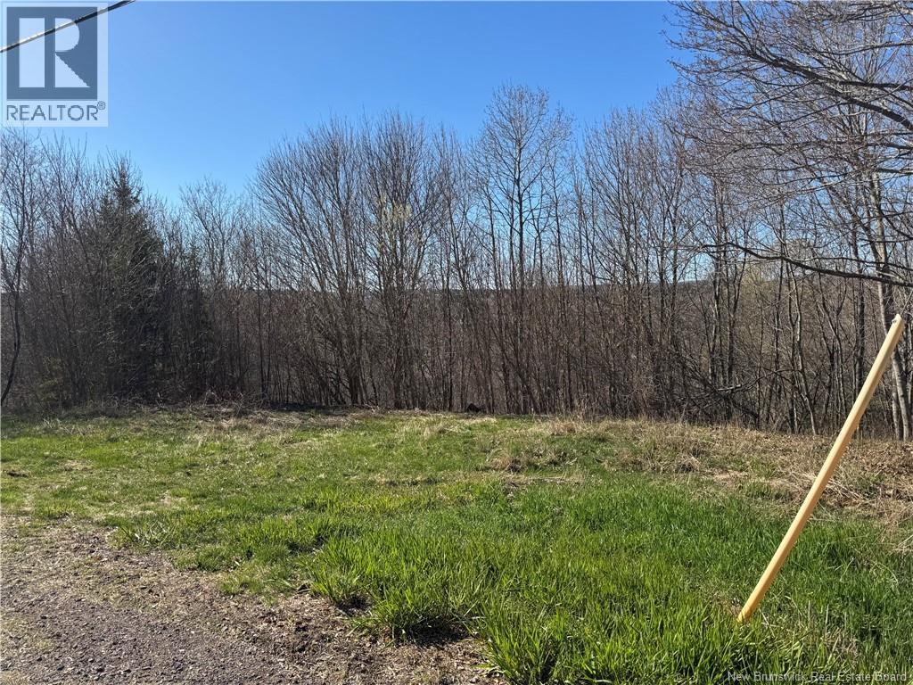 19 St James Street, Sussex, New Brunswick  E4E 0C8 - Photo 4 - NB138067