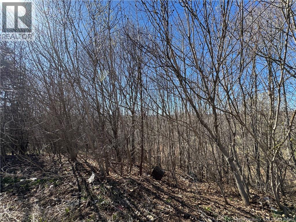 19 St James Street, Sussex, New Brunswick  E4E 0C8 - Photo 6 - NB138067