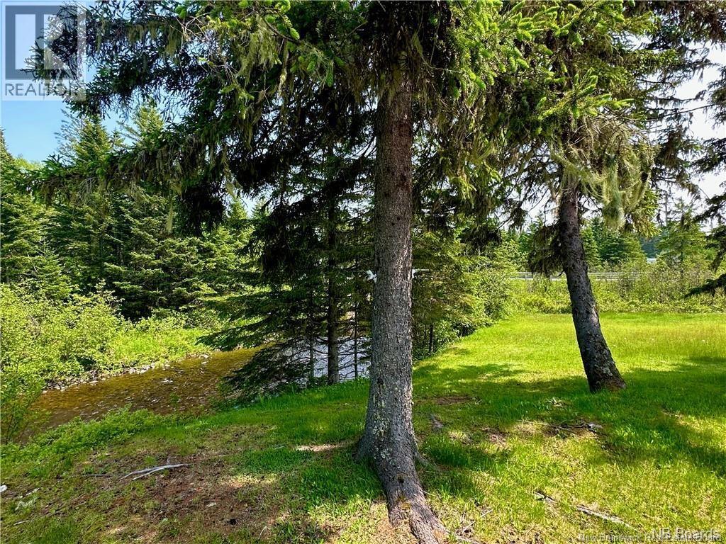 2 North Ridge Road, Juniper, New Brunswick  E7L 1K4 - Photo 8 - NB137953
