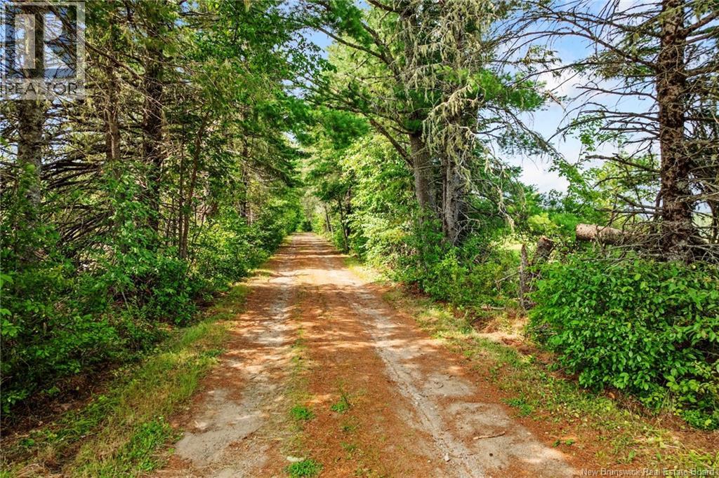 3090 Route 116, Salmon River Rd, New Brunswick  E4A 3M3 - Photo 45 - NB138237