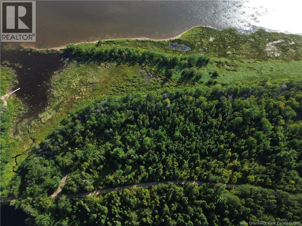Lot Wegesegum Rd, Chipman, New Brunswick O0O 0O0 - Photo 4 - NB138253