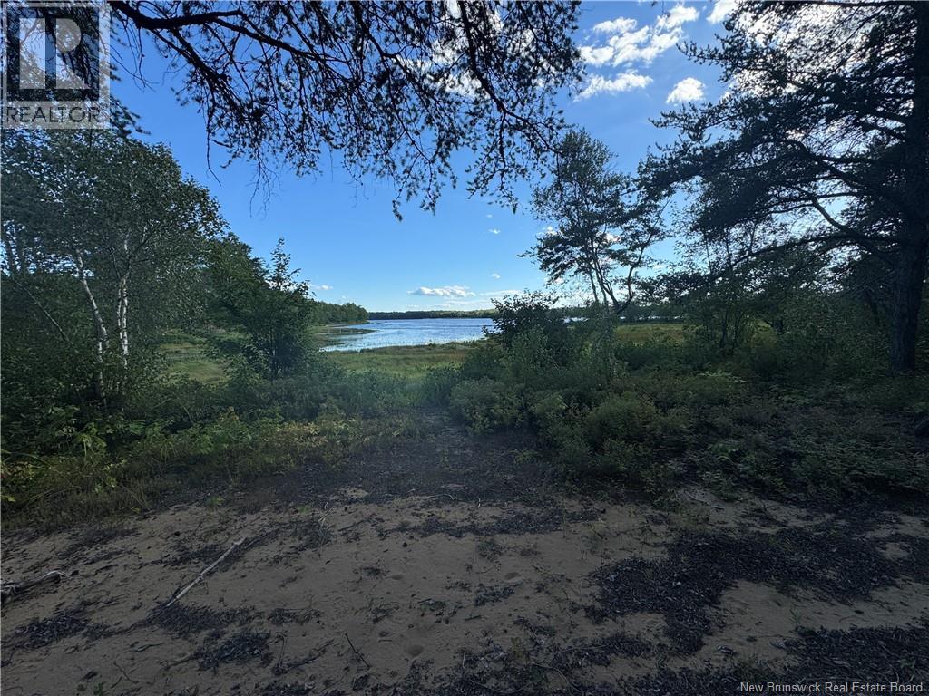 Lot Wegesegum Rd, Chipman, New Brunswick O0O 0O0 - Photo 5 - NB138253