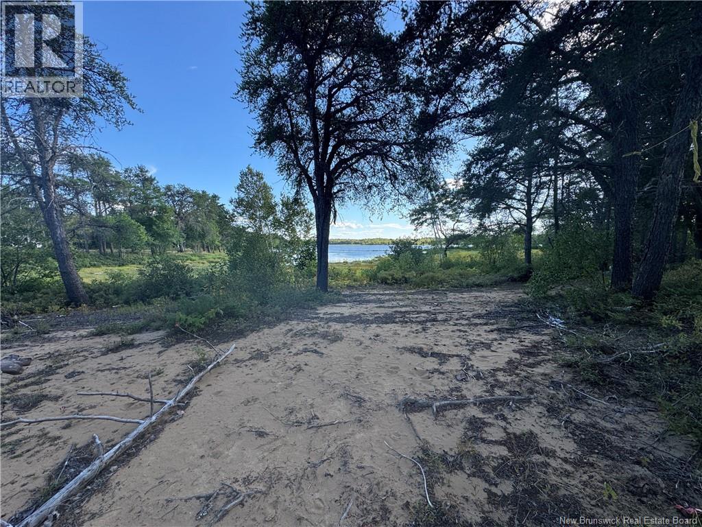 Lot Wegesegum Rd, Chipman, New Brunswick O0O 0O0 - Photo 9 - NB138253