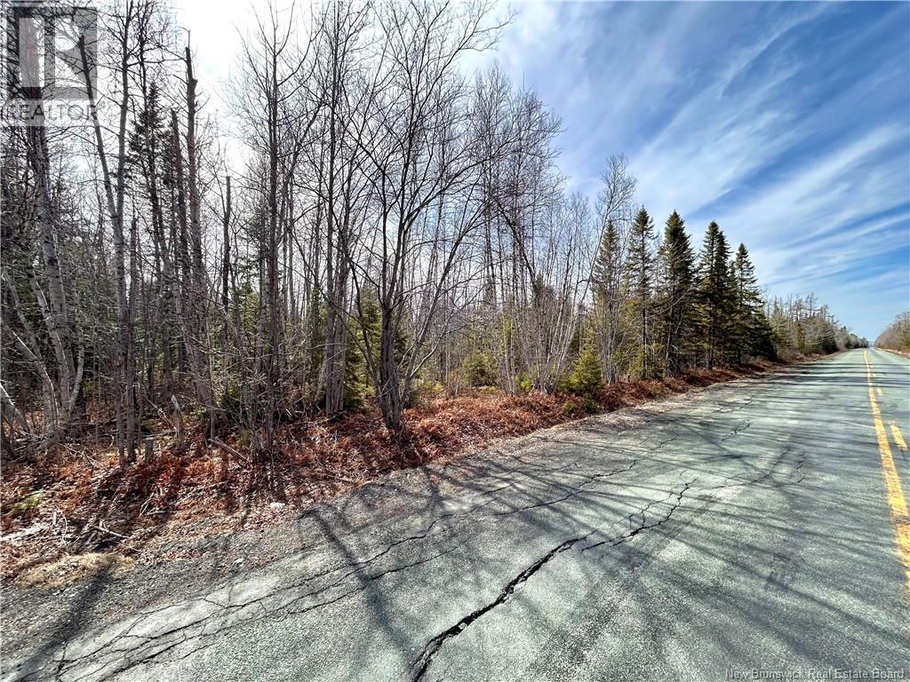 53.1 Acres Route 117, Napan, New Brunswick  E1N 4Y7 - Photo 1 - NB138362