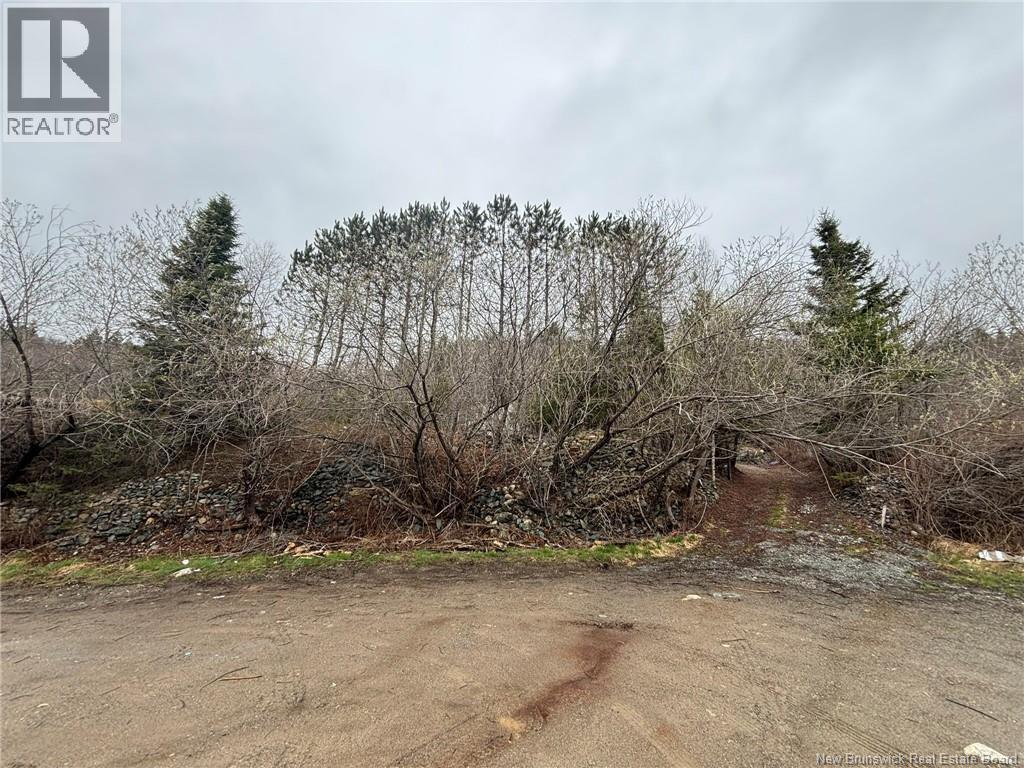 321 Glen Road, Saint John, New Brunswick  E2H 2E8 - Photo 14 - NB134988