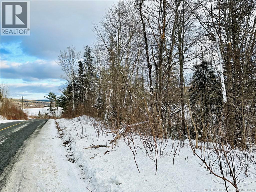 Lot 09-01 Route 105, Southampton, New Brunswick  E6G 1N2 - Photo 22 - NB138411