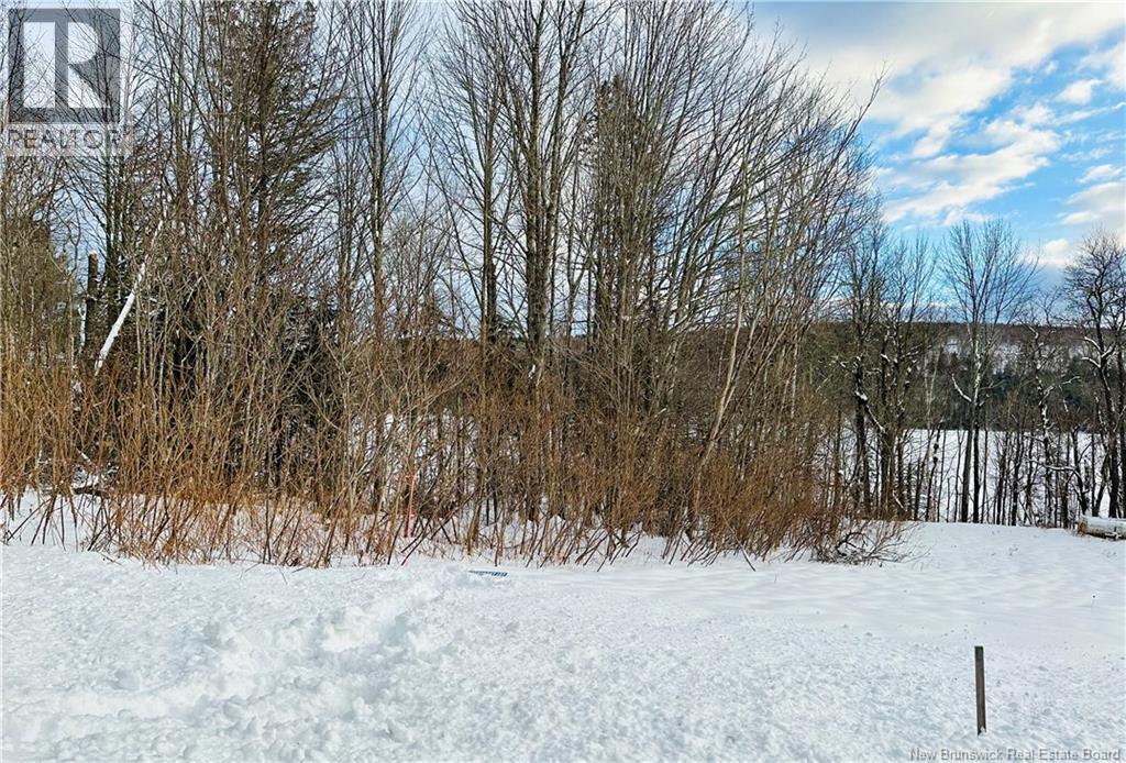 Lot 09-01 Route 105, Southampton, New Brunswick  E6G 1N2 - Photo 25 - NB138411