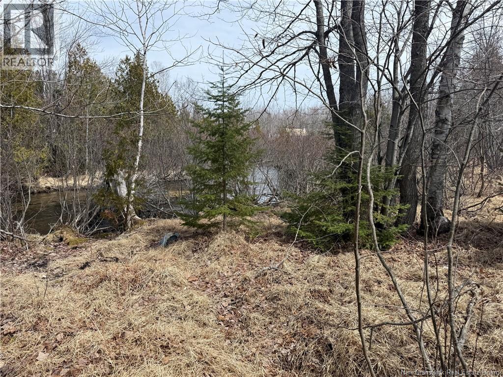 2.17 Acres Route 355, Sainte Rose, New Brunswick  E1X 2W3 - Photo 14 - NB138367