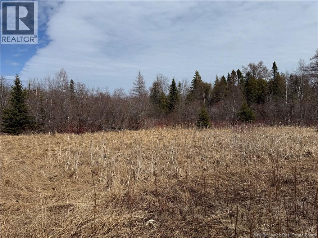 2.17 Acres Route 355, Sainte Rose, New Brunswick  E1X 2W3 - Photo 15 - NB138367