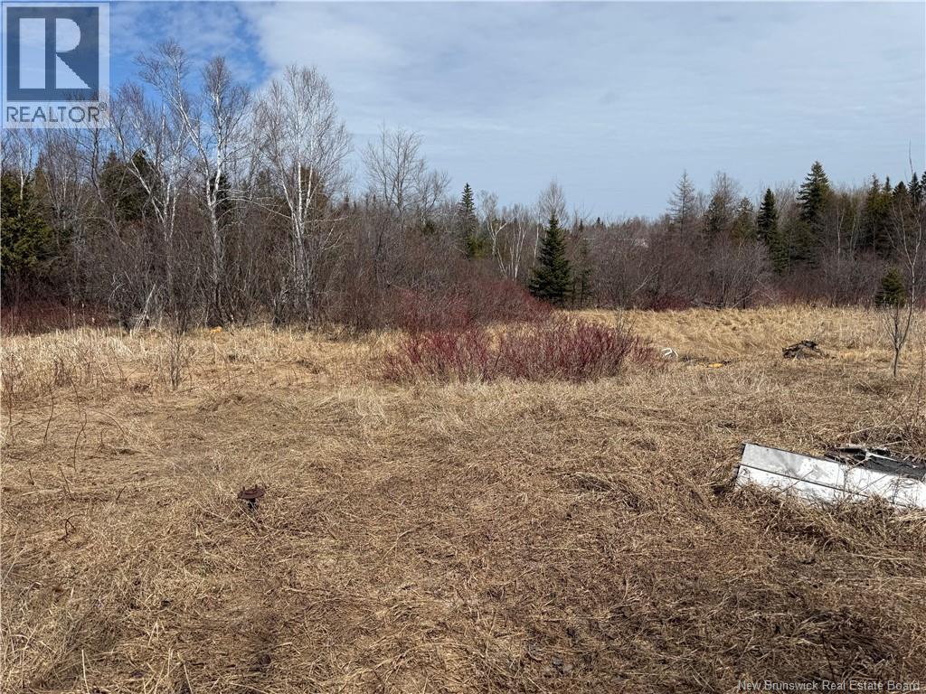 2.17 Acres Route 355, Sainte Rose, New Brunswick  E1X 2W3 - Photo 17 - NB138367
