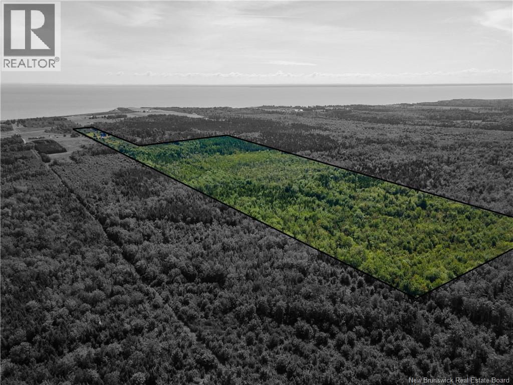 Route 960, Cape Spear, New Brunswick  E4M 1R6 - Photo 1 - NB138340