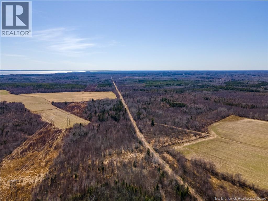 Route 960, Cape Spear, New Brunswick  E4M 1R6 - Photo 18 - NB138340
