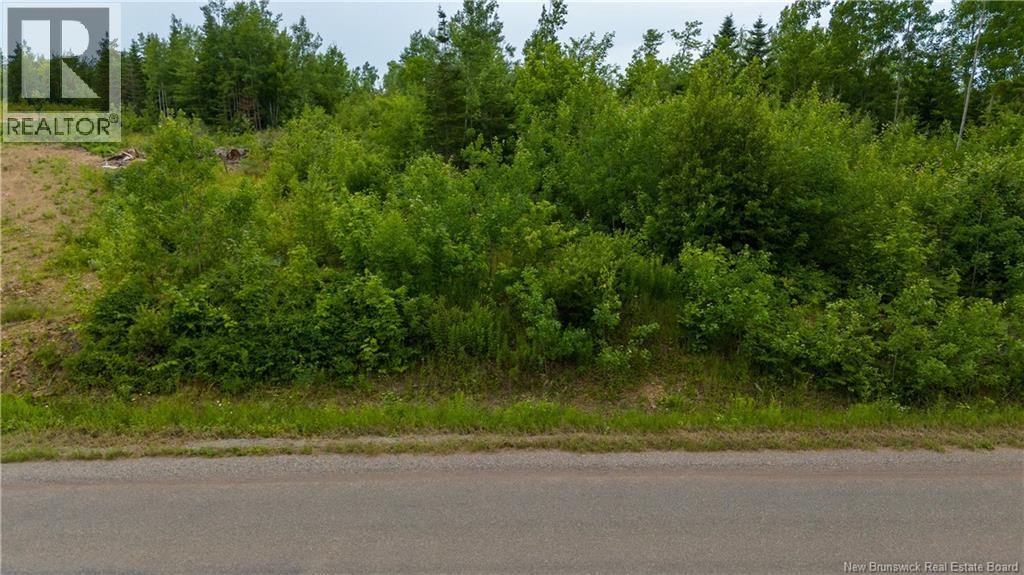 24-4 Route 895, Anagance, New Brunswick  E4Z 1E1 - Photo 13 - NB138392