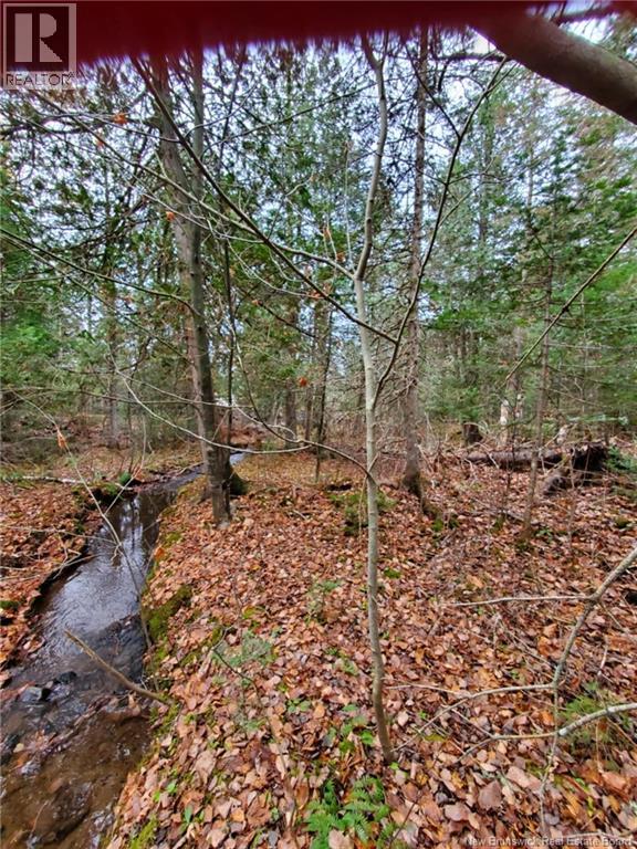 Lot 2 Thompson Road, Kierstead Mountain, New Brunswick  E5P 1X3 - Photo 3 - NB138441