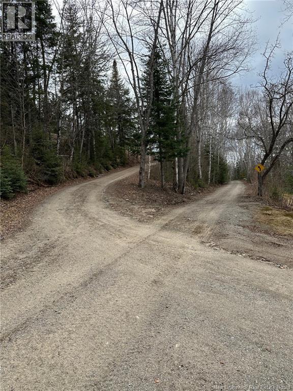 114 Mcnamee Road, Mcnamee, New Brunswick  E9C 2G6 - Photo 49 - NB138452
