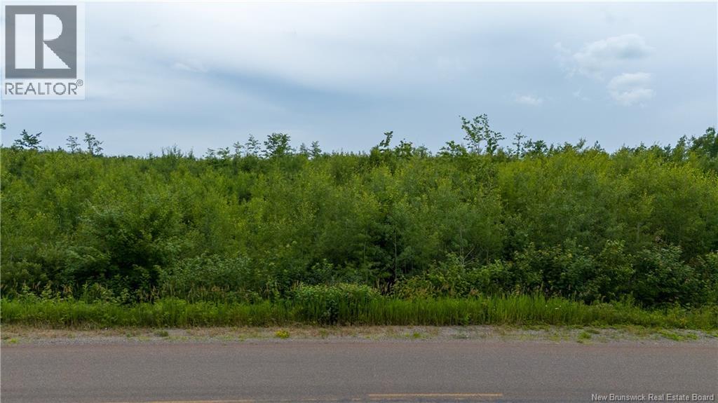 24-2 Route 895, Anagance, New Brunswick  E4Z 1E1 - Photo 16 - NB138390