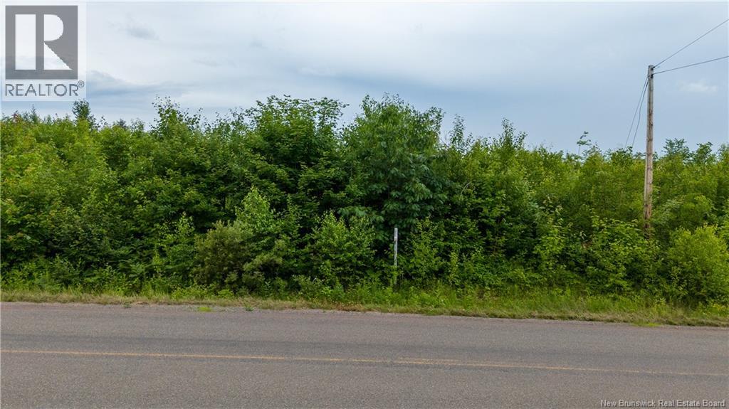 24-3 Route 895, Anagance, New Brunswick  E4Z 1E1 - Photo 17 - NB138391