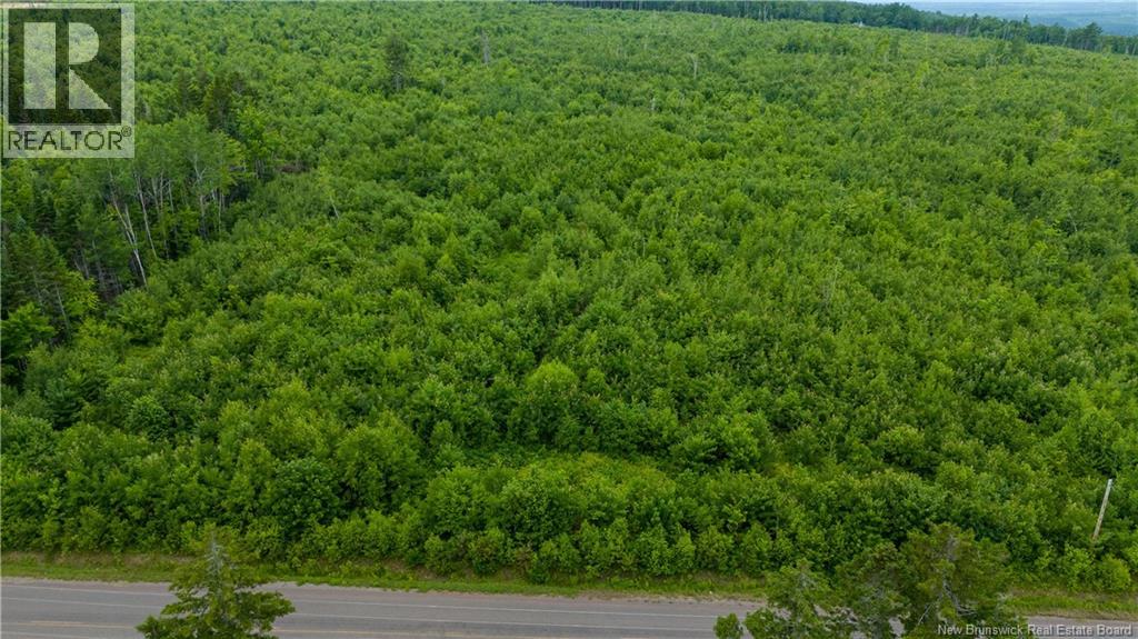24-3 Route 895, Anagance, New Brunswick  E4Z 1E1 - Photo 9 - NB138391