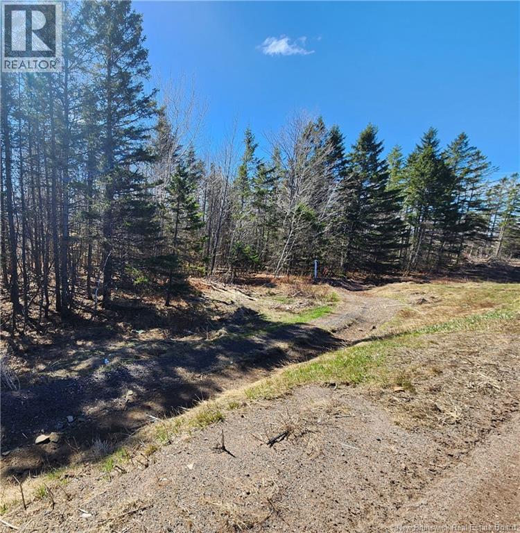 47950 Chemin Homestead Road, Moncton, New Brunswick  E1G 2P7 - Photo 13 - NB138455