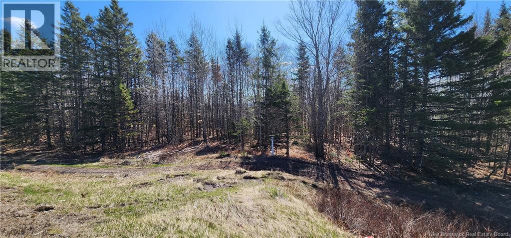 47950 Chemin Homestead Road, Moncton, New Brunswick  E1G 2P7 - Photo 9 - NB138455