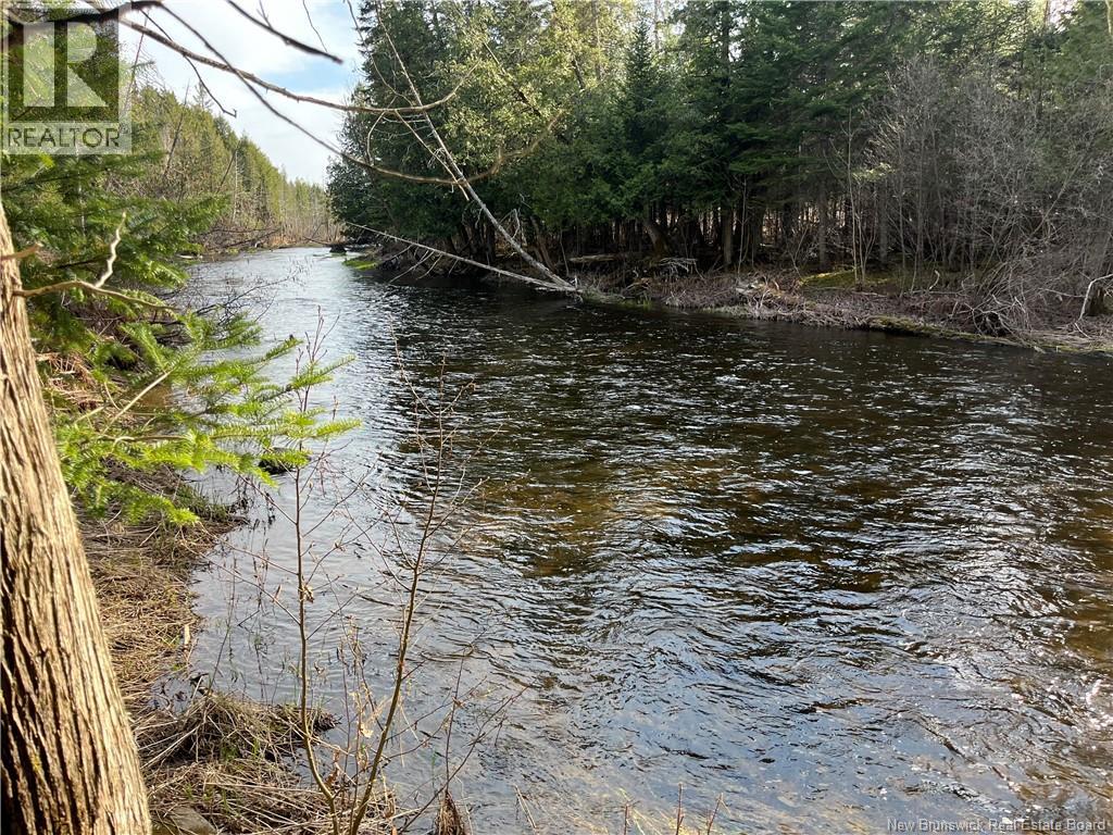 1106 Rte 590, Waterville, New Brunswick  E7P 2T5 - Photo 3 - NB138567