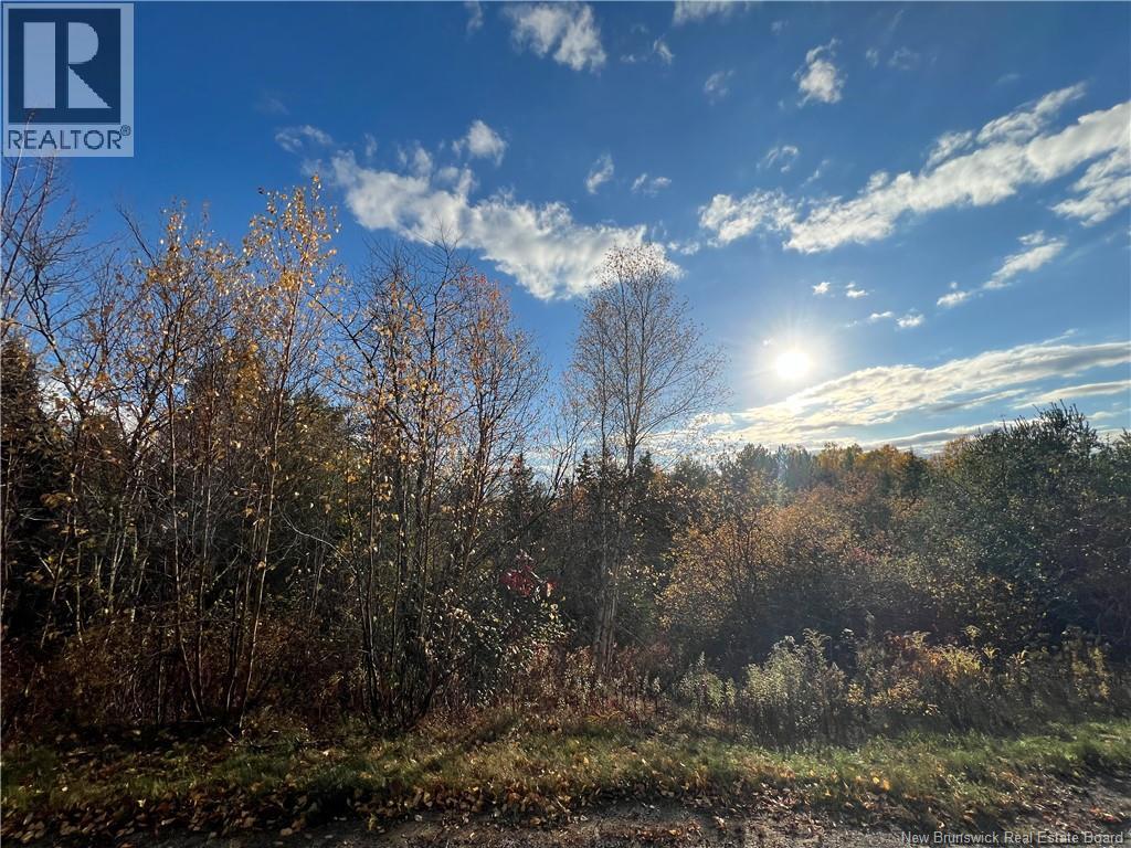 73-17 Tavener Terrace, Picadilly, New Brunswick  E4E 3X2 - Photo 1 - NB138596
