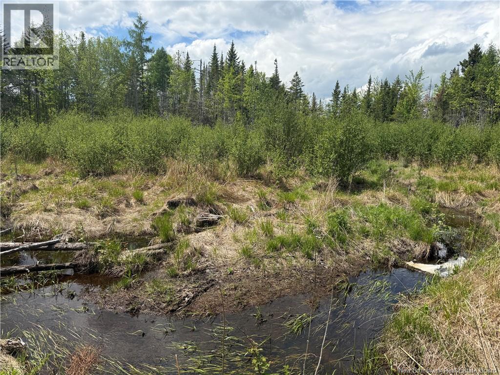 0 Benton Road, Benton, New Brunswick  E7N 3C9 - Photo 2 - NB138037