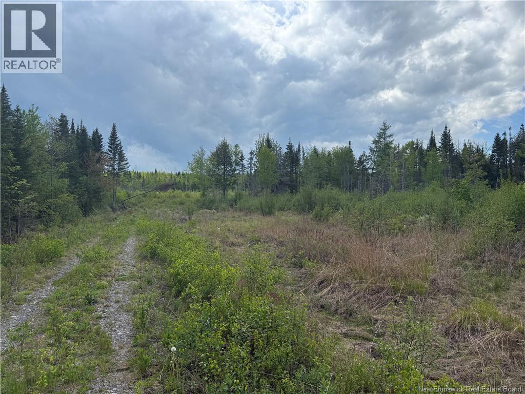 0 Benton Road, Benton, New Brunswick  E7N 3C9 - Photo 3 - NB138037