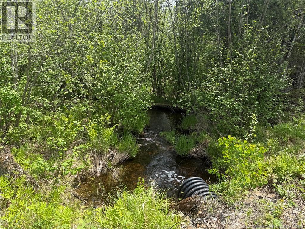 0 Benton Road, Benton, New Brunswick  E7N 3C9 - Photo 4 - NB138037