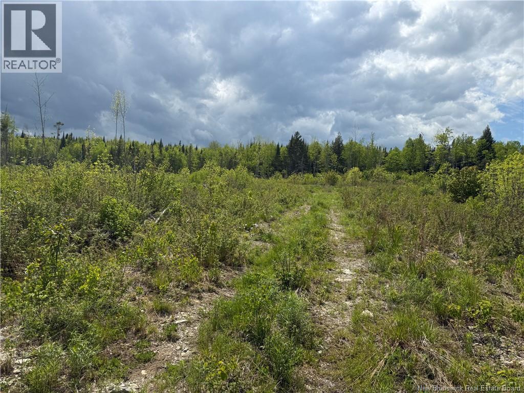 0 Benton Road, Benton, New Brunswick  E7N 3C9 - Photo 5 - NB138037