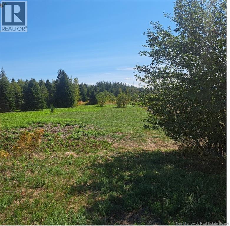 0 Homestead Road, Salisbury, New Brunswick  E4J 3C1 - Photo 2 - NB138693