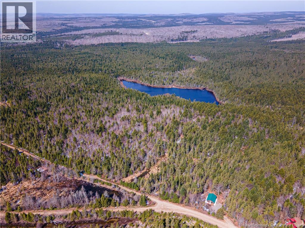 Lot 8 Shepody Road, Martin Head, New Brunswick E4E 0K8 - Photo 23 - NB138655
