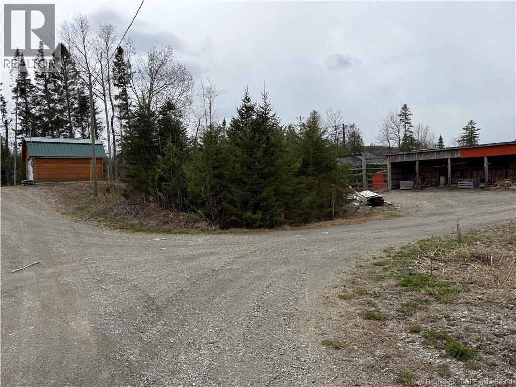 15833 Undine Road, Drummond, New Brunswick  E3Y 2E8 - Photo 43 - NB138784