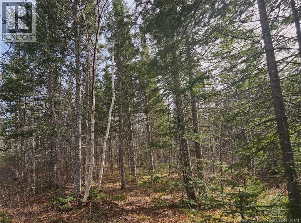00 Route 118, Chelmsford, New Brunswick E9E 2G8 - Photo 1 - NB138787
