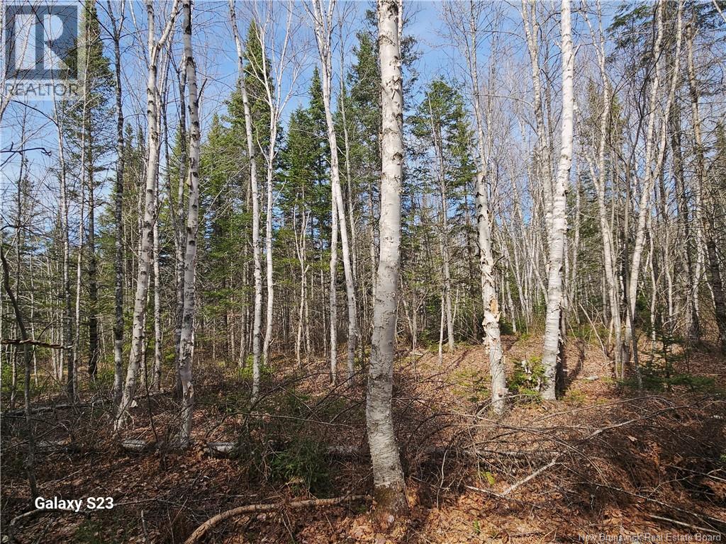 00 Route 118, Chelmsford, New Brunswick E9E 2G8 - Photo 7 - NB138787