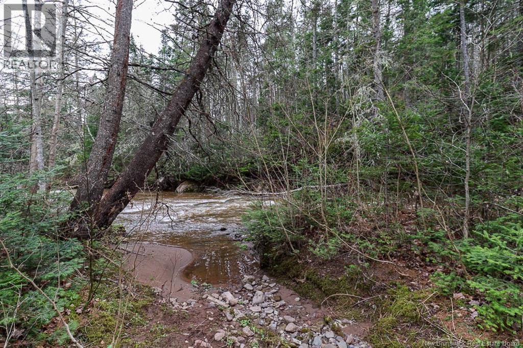 475 Route 124, Norton, New Brunswick  E5T 1R3 - Photo 36 - NB138835