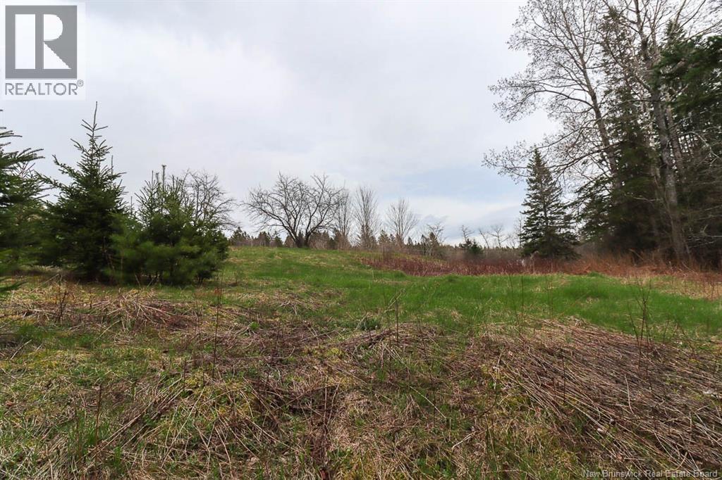 475 Route 124, Norton, New Brunswick  E5T 1R3 - Photo 37 - NB138835