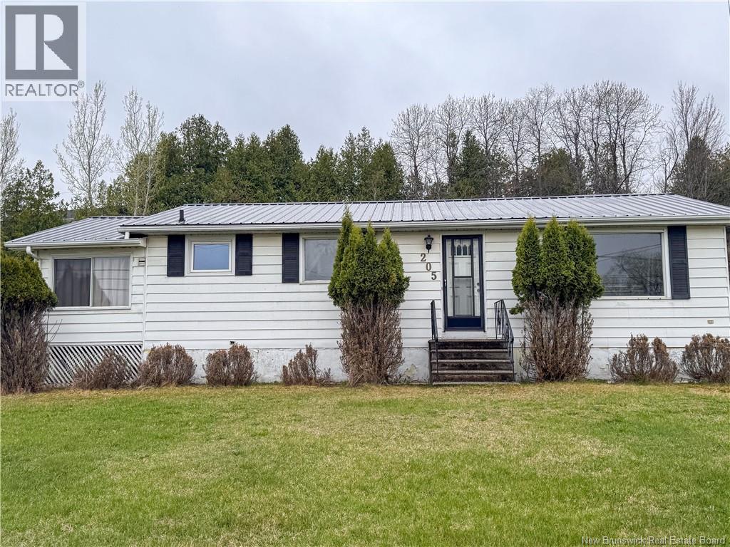 205 Houlton Street, Woodstock, New Brunswick  E7M 4L7 - Photo 23 - NB138926