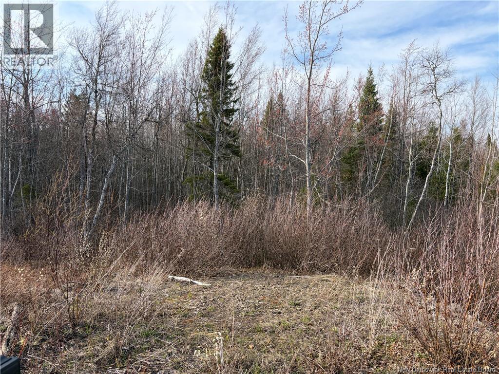Lot 2 Cocagne Sud, Cocagne, New Brunswick  E4R 2C9 - Photo 2 - NB138958