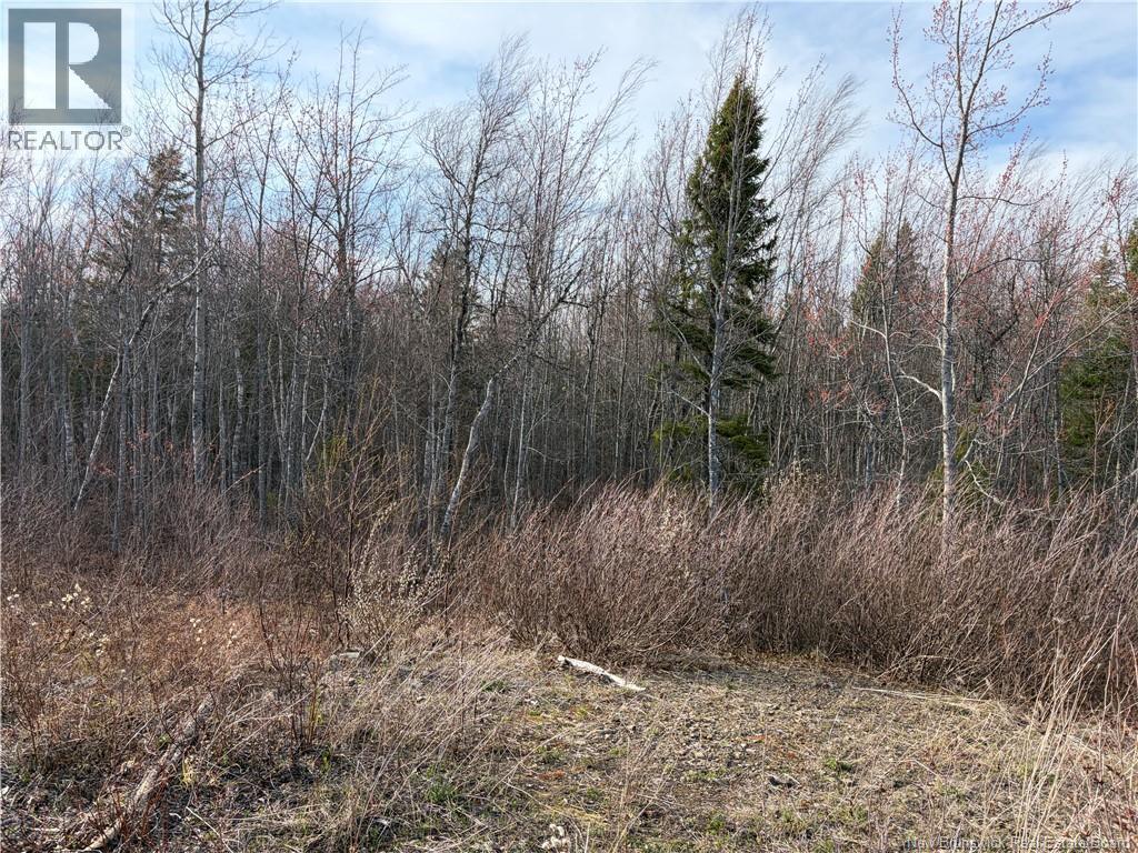 Lot 2 Cocagne Sud, Cocagne, New Brunswick  E4R 2C9 - Photo 3 - NB138958