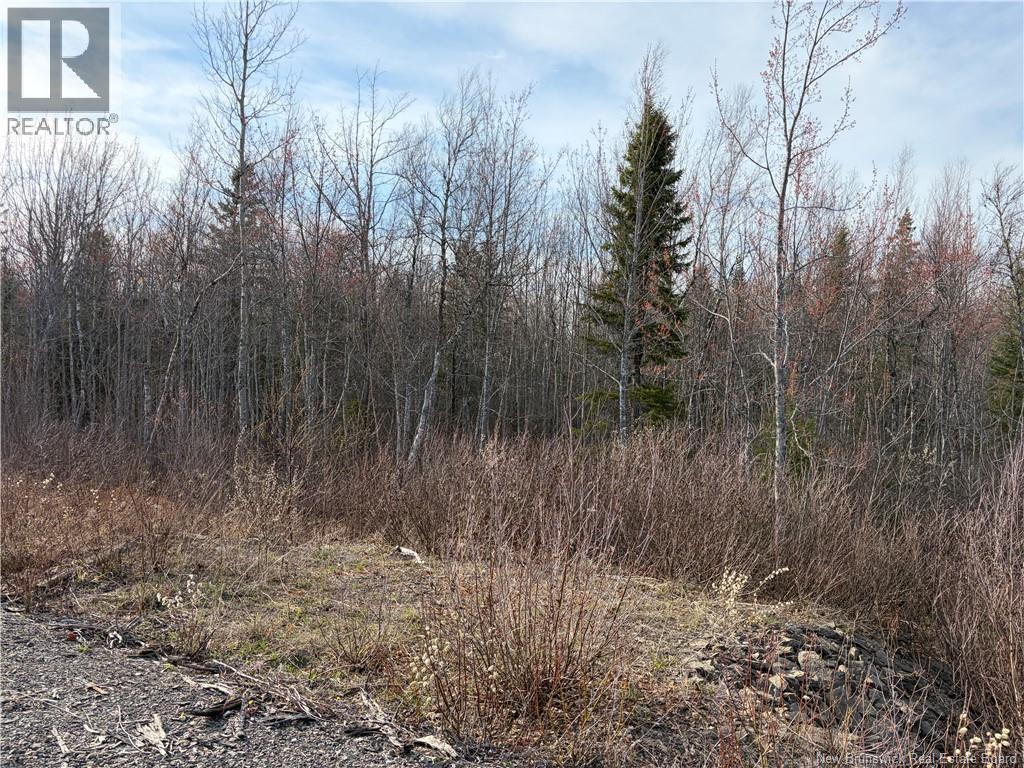 Lot 1 Cocagne Sud, Cocagne, New Brunswick  E4R 2C9 - Photo 4 - NB138957