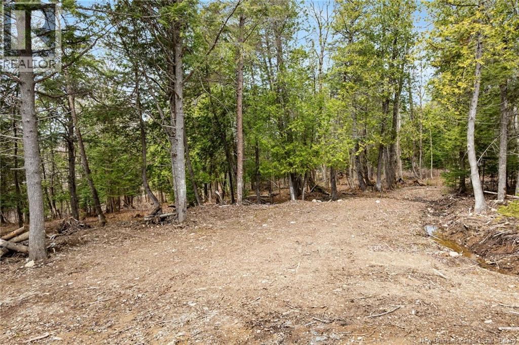 00 Everett Lane, Keswick Ridge, New Brunswick  E6L 1W1 - Photo 15 - NB139002