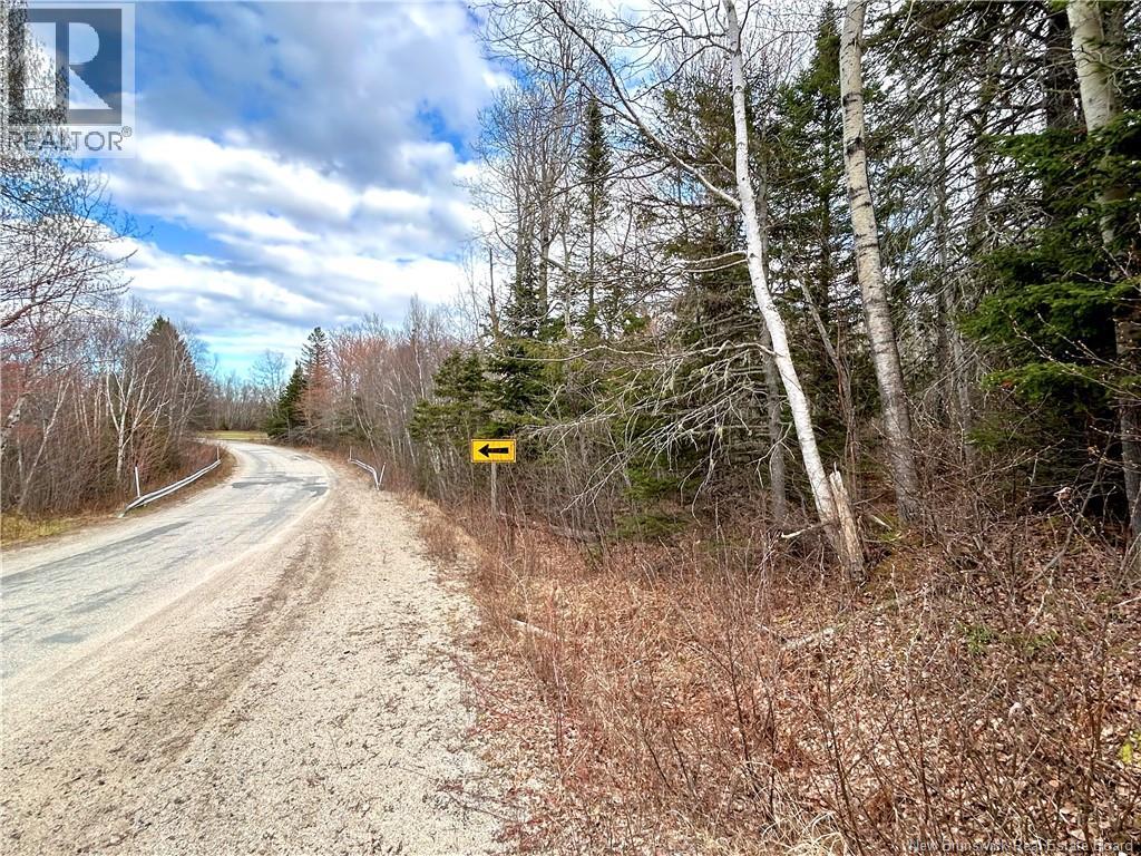 2.87 Acres Portage River Road, Baie-Sainte-Anne, New Brunswick  E9A 1G6 - Photo 1 - NB139052