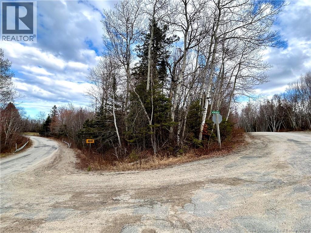 2.87 Acres Portage River Road, Baie-Sainte-Anne, New Brunswick  E9A 1G6 - Photo 2 - NB139052