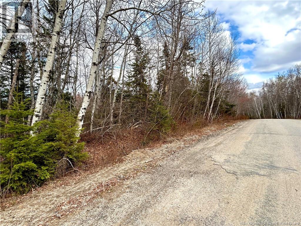 2.87 Acres Portage River Road, Baie-Sainte-Anne, New Brunswick  E9A 1G6 - Photo 3 - NB139052