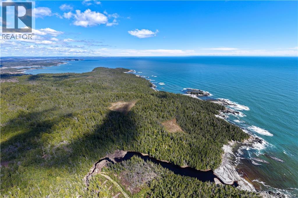 00 Paul Road, Seeleys Cove, New Brunswick E5H 2E6 - Photo 12 - NB139063
