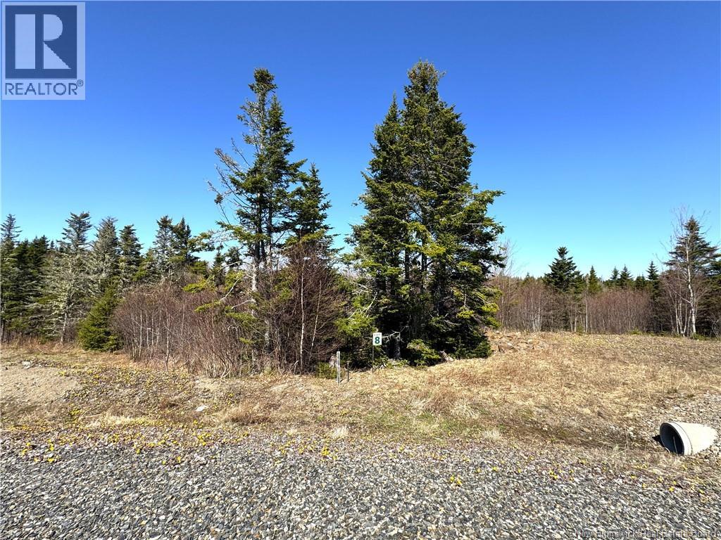 Lot 25-08 Hillside Estates, St George, New Brunswick  E5C 3S4 - Photo 3 - NB139079