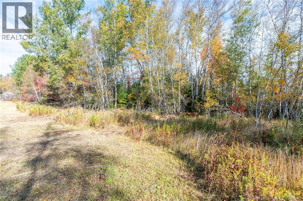 413 Bass River Point Road, Bass River, New Brunswick  E4T 1H9 - Photo 34 - NB138938