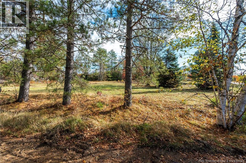 413 Bass River Point Road, Bass River, New Brunswick  E4T 1H9 - Photo 43 - NB138938